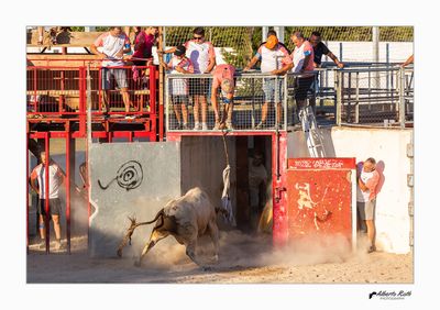 Als bous 17-08-24