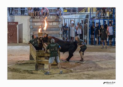 Als bous 17-08-24