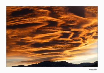¿ Qui necessita un filtre amb aquests colors ?