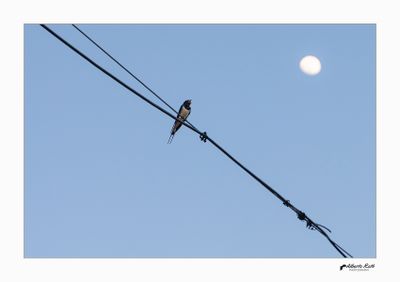 · 22/01/2025 ·