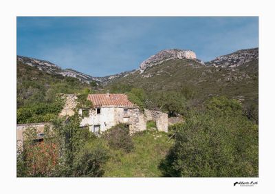Mas del Trinxan