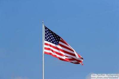 000_AL4I8136.jpg