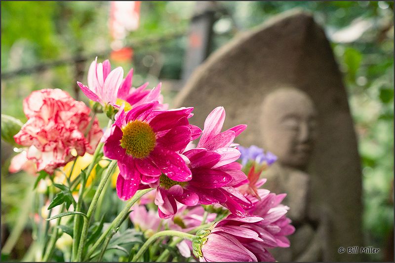 Buddha Statue and Flowers