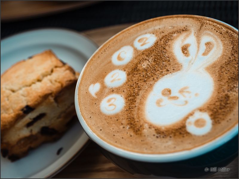 Year of the Rabbit in Coffee