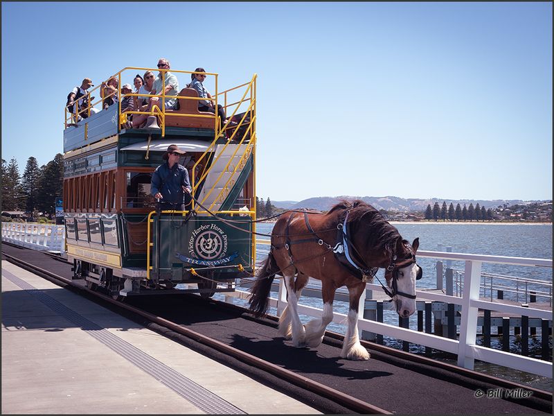 Horse Drawn Tramway