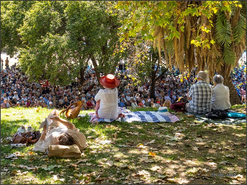 Book Festival in the Garden