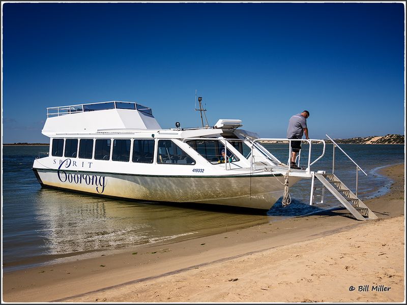 Coorong Boat Trip