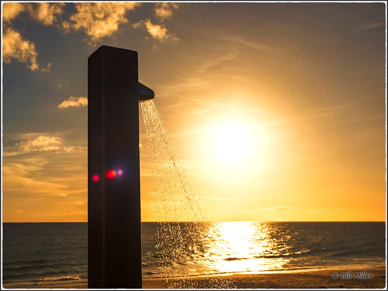 Evening Shower