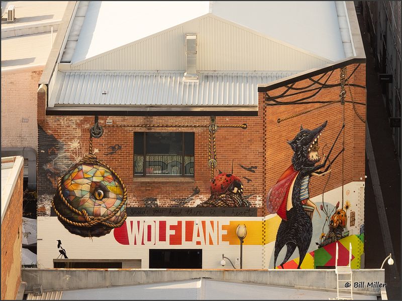 Wolf Lane