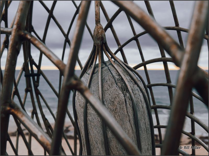 Caged