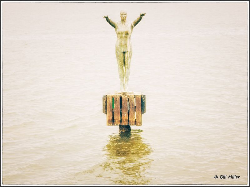 Diving In