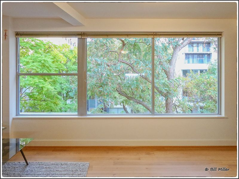 Window View