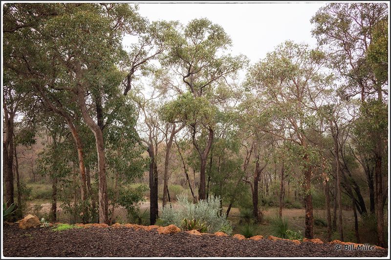 Bushland