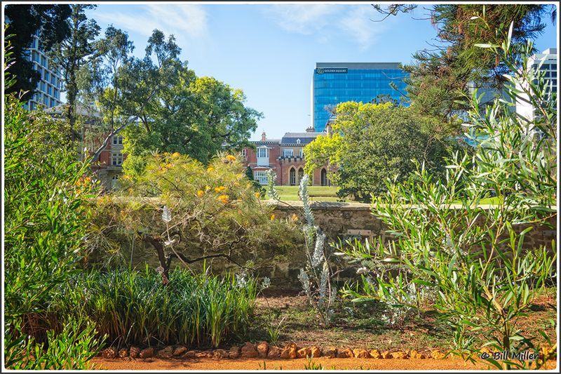 Government House Gardens