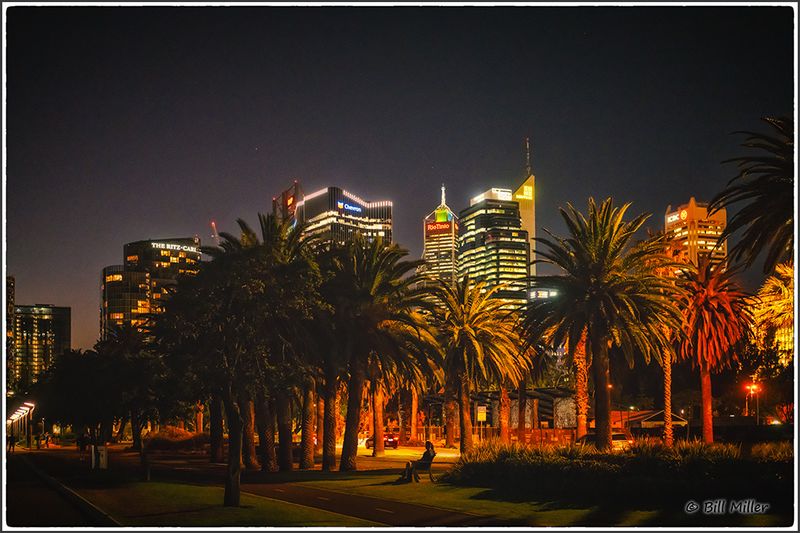 Palm Trees and Offices