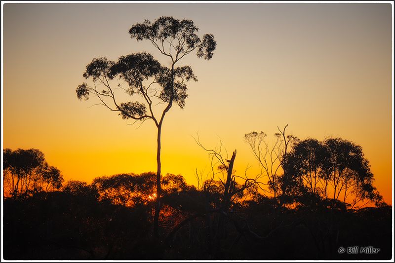 Evening at Work Camp