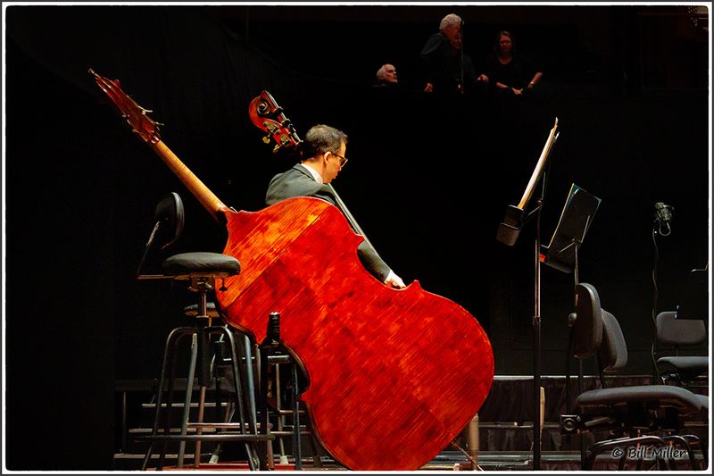 Double Bass