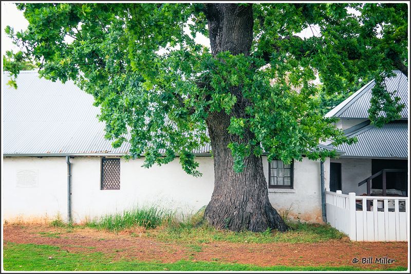 Peninsula Farm