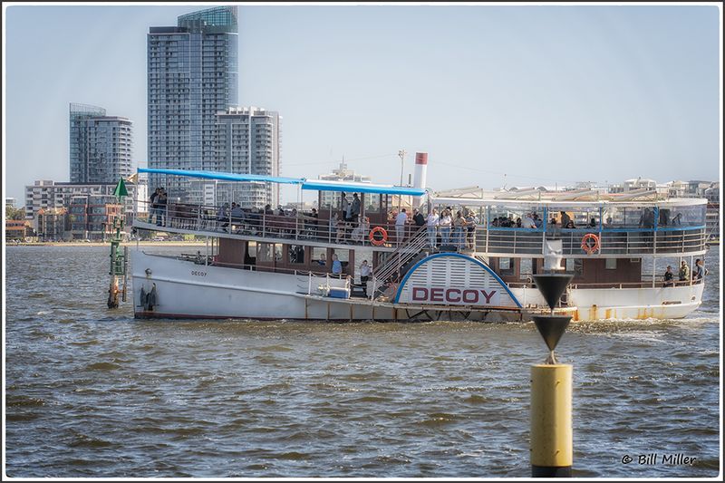 Decoy
