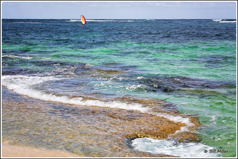 Windsurfer