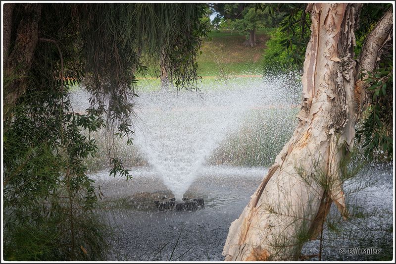 Evening Fountain