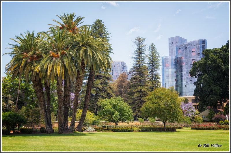 City from the Park
