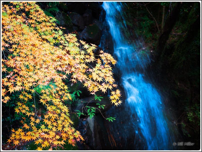 Waterfall