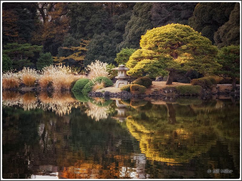 Shinjuku Gyoen
