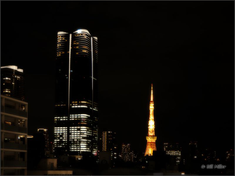 Evening Skyline