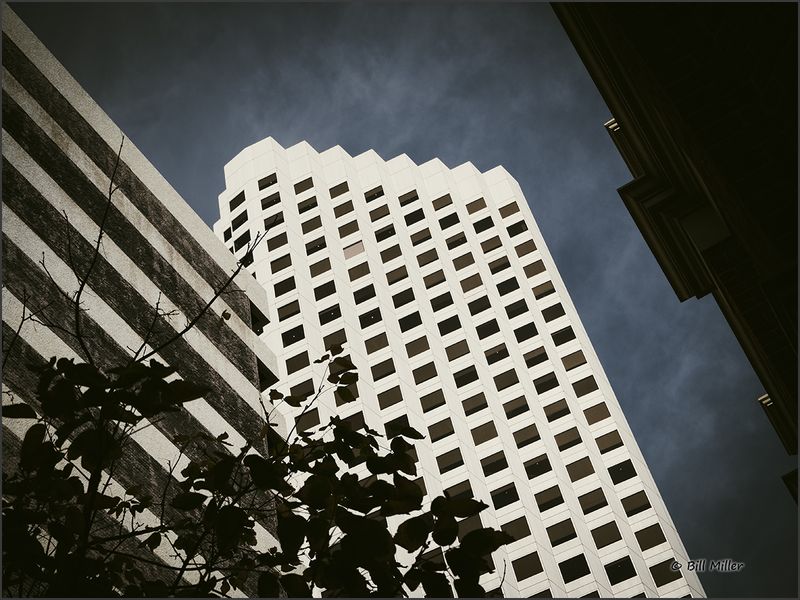 Looking Up