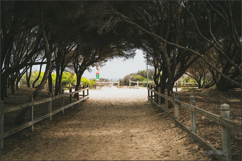 Beach Walk