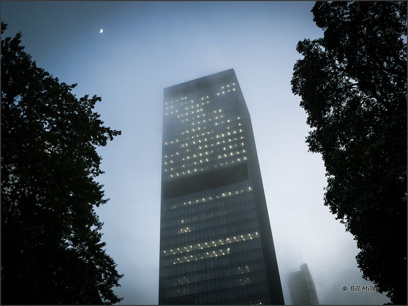 Foggy Morning