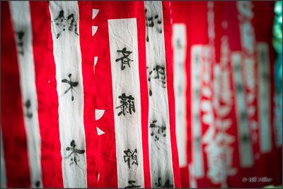 Temple Flags