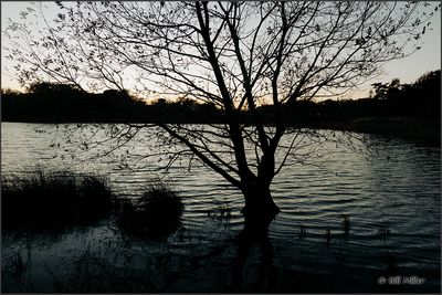 g13/97/460597/3/173247670.855c9e9f.JPEG