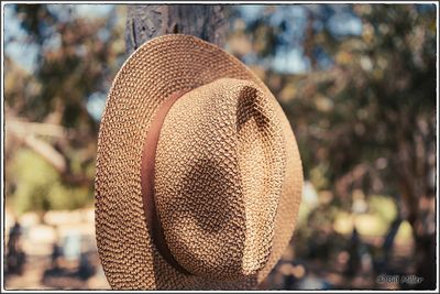 Wherever I Lay My Hat