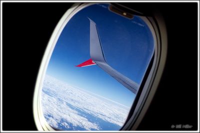 Flying Home