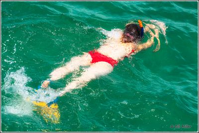 Mermaid