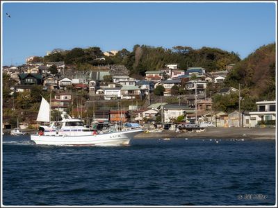 Fishing Harbour
