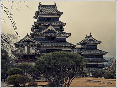 g13/97/460597/3/175142131.8d00fc70.JPEG