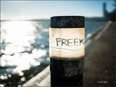 Freek