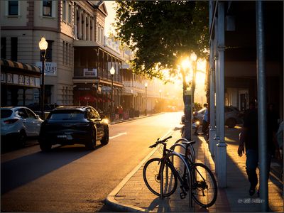 Sunset Street