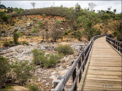 Bells Rapids