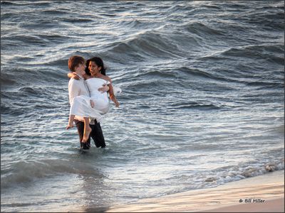 Trash the Dress