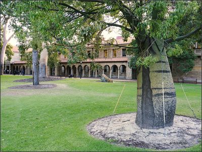 University of Western Australia