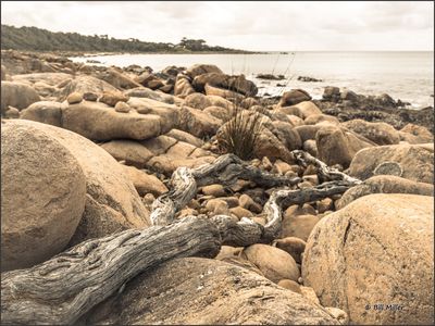 Rocky Beach