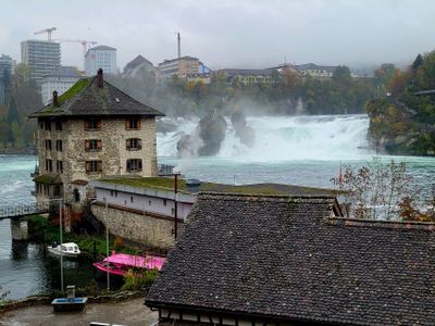 rhine_fall__black_forest