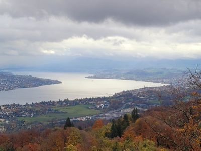 Image_20231122161453.jpg
