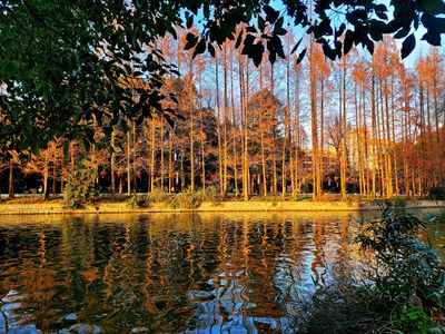 cultural_heritage_and_parks_in_shanghai