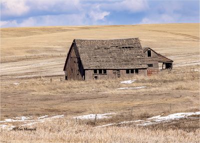 Old Barn