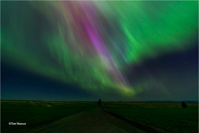 Northern Lights